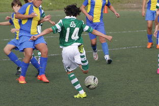 开云官网-国家体育场运营中心发布暑期开放时间公告，国家体育场百度百科